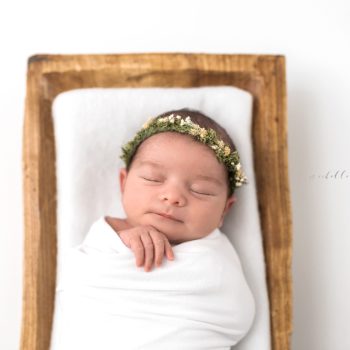 Cleveland Area Newborn Photographer